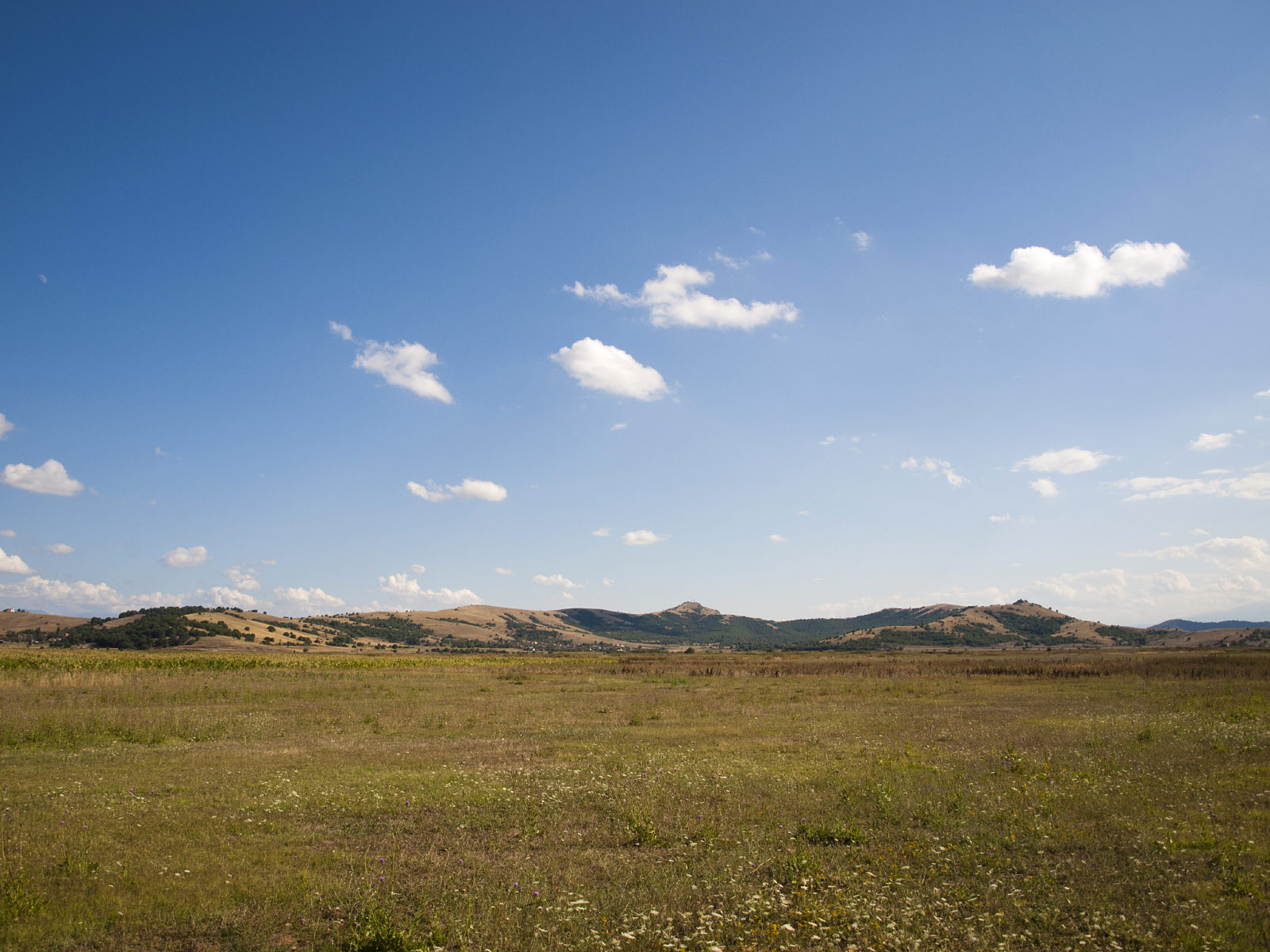 Prilep Field (Photo license: CC BY-NC 2.0)